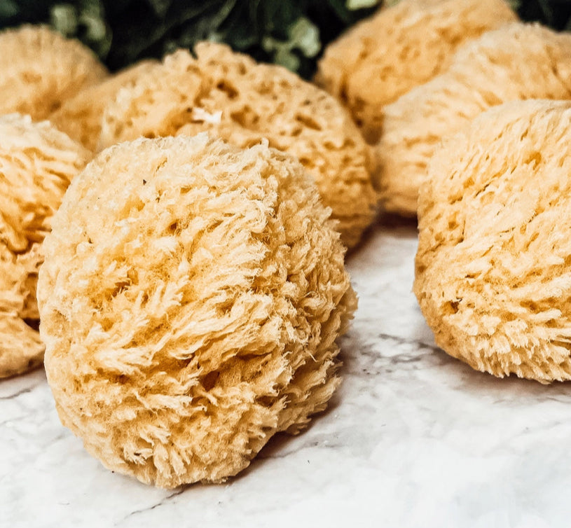 Organic Sea Sponge, All Natural Body Wash Loofah 4-5"